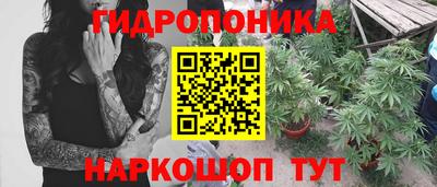 a pvp Конаково