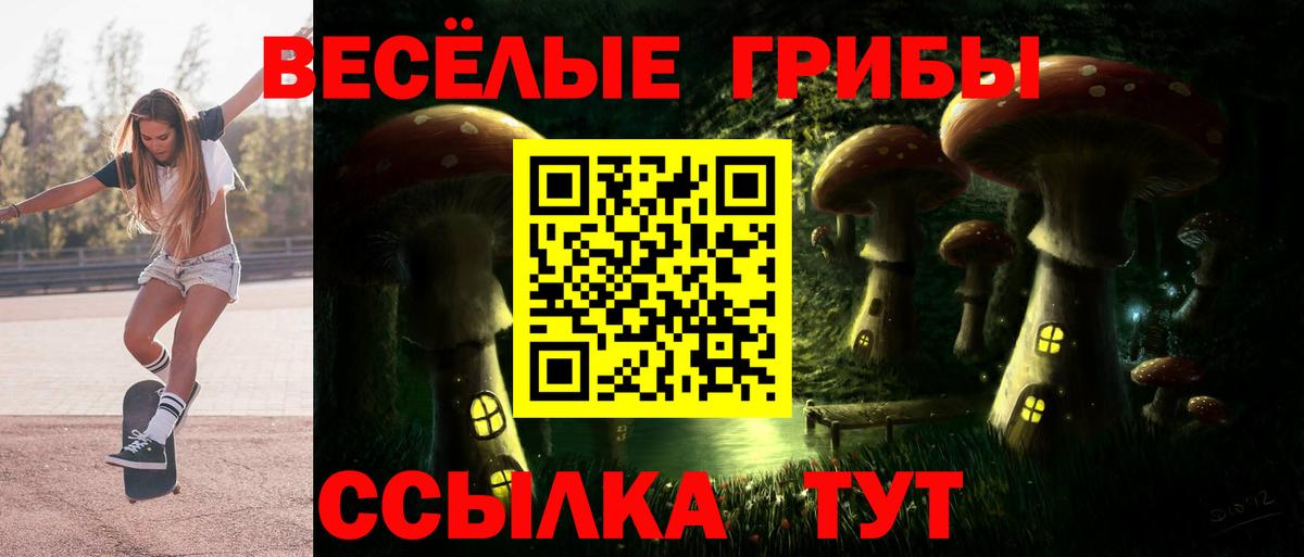 Волхов  Галлюциногенные грибы Psilocybine cubensis  Псилоцибиновые грибы прущие грибы  Вход с VPN 